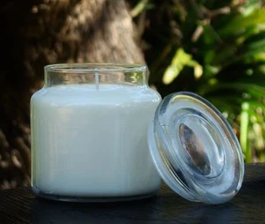 150 hour 900g CIT RONELLA & WHITE MULBERRY Scented SOY JAR CANDLE + SNUFFER LID - Picture 1 of 12