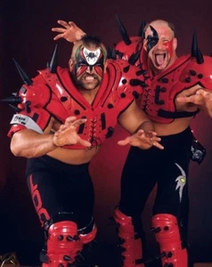 ROAD WARRIORS 8X10 PHOTO WRESTLING PICTURE WWF ANIMAL HAWK - Picture 1 of 1