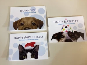 3 Dog and Cat Themed Greeting Cards Blank Inside with Envelopes 7" X 5" - Picture 1 of 12