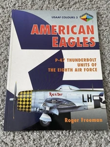 American Eagles: P-47 THUNDERBOLT Units of the Eighth Air Force (USAAF Colours) - Picture 1 of 10
