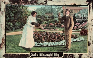 Vintage Postcard -1917 - COUPLE IN GARDENING - FLOWERS COLOR CARD - unposted - Picture 1 of 2