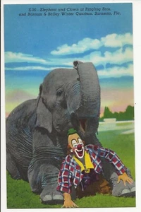 Elefante y payaso, Ringling Bros. Winter Quarters postal Sarasota FL - Imagen 1 de 2