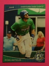 2018 Grandstand, Hartford Yard Goats - RYAN METZLER