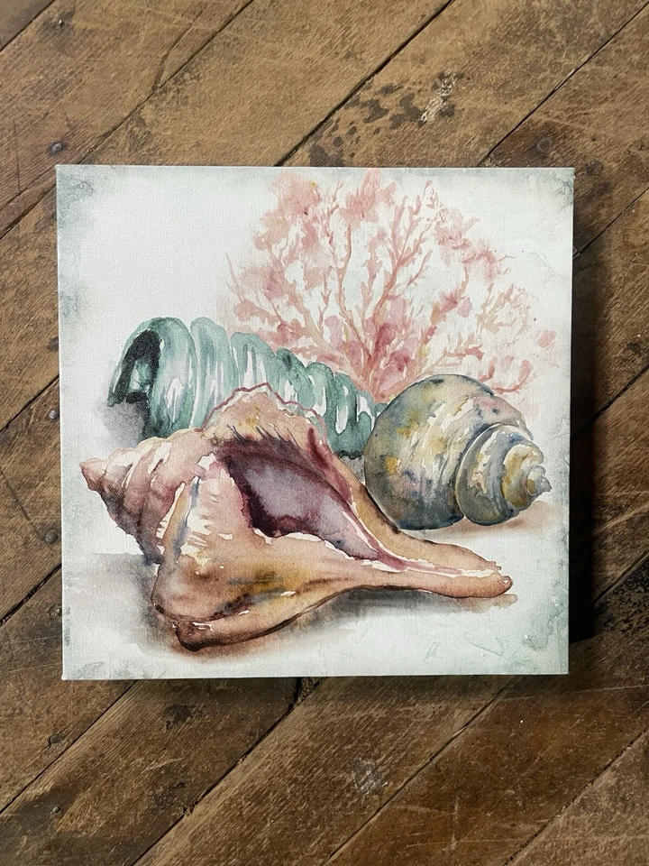 Галерея обернутый холст настенное искусство - 12 «x 12» x 1,5» - акварель ракушки III - Изображение 1 из 1