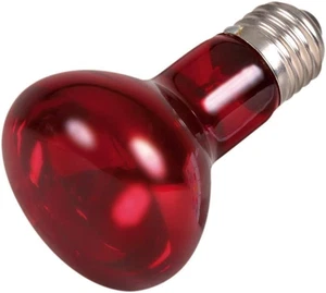 Lampada Spot Infrarossi Riscaldante 35W per Rettili Articoli per Animali, Rosso, - Foto 1 di 12