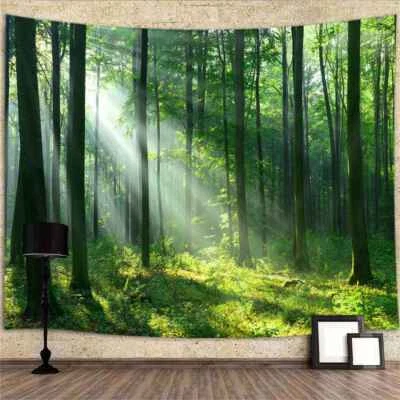 Natur Poster XXL Wandteppich Wald Wandbehang Fototapete Foto Hintergrund - Bild 1 von 4