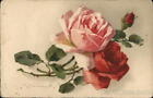 C. Klein Red and Pink Roses Postcard Vintage Post Card