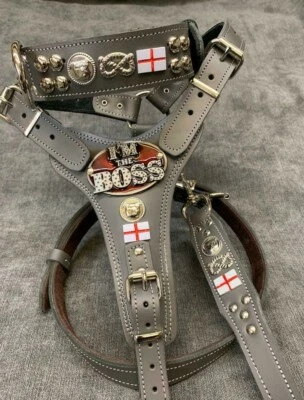 REAL LEATHER STAFFORDSHIRE/STAFFY BULL TERRIER  HARNESS, COLLAR & LEAD SET -  - Image 1 of 4