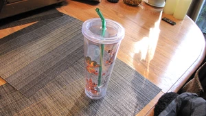 Starbucks 2020 WDW Disney World Parks Icons Acrílico Venti Vaso Frío 24 OZ - Imagen 1 de 7