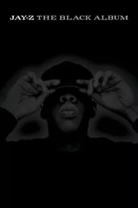 Jay-Z The Black Album Art Wall Indoor Room Outdoor Poster - POSTER 20x30 - Picture 1 of 4