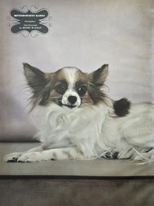 Papillon Perro Bittersweets Karen Henry Waxman Vintage Revista Ilustración 1943 - Imagen 1 de 7