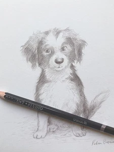 Sheepdog Puppy- Original Art - signed by the illustrator - Petra Brown - Picture 1 of 2