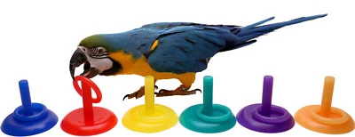 PARROT WIZARD Birdie Ring Toss Trick Training Prop for Parrots - Choose Size and Colors