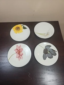 Noritake Colorwave Cioccolato 4 Piatti Antipasto Margherita Fiore di Mais Ortensia - Foto 1 di 7