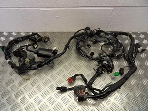 Telar arnés de cableado principal Kawasaki ZX6R 2007 a 2008 - Imagen 1 de 8