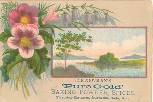 1880er Trade Card Newman's Pure Gold Backpulver Gewürze Fairport NY Toronto - Bild 1 von 4