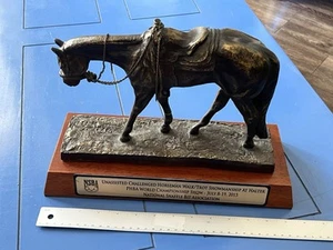 2015 NSBA Trophy, Unassisted Challenged Walk/Trot PHBA Championship DAMAGED - Picture 1 of 24