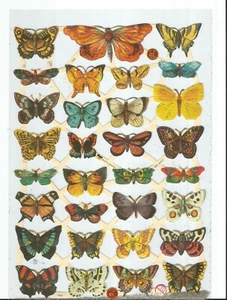 Chatarra troquelada alemana en relieve PLATA BRILLO - Mariposa de colores audaces EF7336G - Imagen 1 de 2