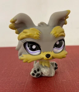 ❤ Littlest Pet Shop ❤ LPS #883 - AUTHENTIC Littlest Pets - Yorkie Dog Figure - Bild 1 von 5