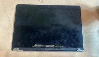 Conjunto Pantalla LCD Apple MacBook Retina A1534 12" Para Piezas Foto 1 de 4