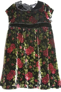 Gymboree HOLIDAY TRADITIONS Floral Velvet Plush Dress NWT 3 4 5 - Picture 1 of 6