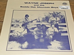 WAYNE JOSEPH & SADDLE OAK MOUNTAIN BOYS - LP  - NEW - Sealed - Foto 1 di 2