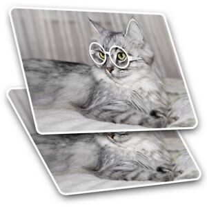 2 x rechteckige Aufkleber 10 cm - Schöne Katzenbrille Kätzchen Tiere #8525