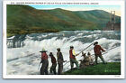 Postcard: Indians Spearing Salmon At Celilo Falls - Columbia River Hwy., Oregon
