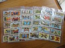 BROOKE BOND TEA BUTTERFLIES OF THE WORLD SERIES FULL SET 1964