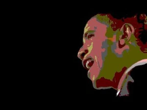 BARACK OBAMA KAMPAGNE REDEN VIDEOS 38+ STUNDEN AUF DVD - Bild 1 von 1