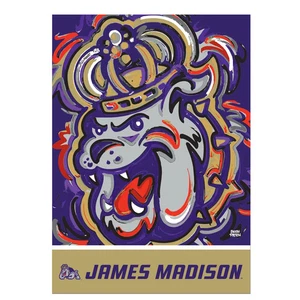 Universidad James Madison, gamuza REG, Justin Patten, 13s902jpal - Imagen 1 de 1
