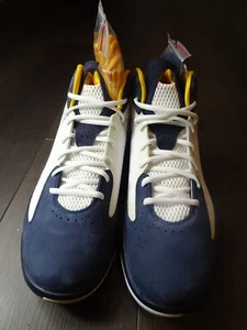 Air Jordan Aero Flight California Golden  Bears size 12  men New  50% off - Picture 1 of 16