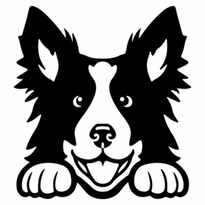 5" PEEKING BORDER COLLIE Vinyl Decal Sticker Car Window Dog Puppy Rescue Pet - Picture 1 of 24