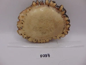 Vintage Handmade Belt Buckle Elk Antler Bur Southwest Cowboy - Picture 1 of 6