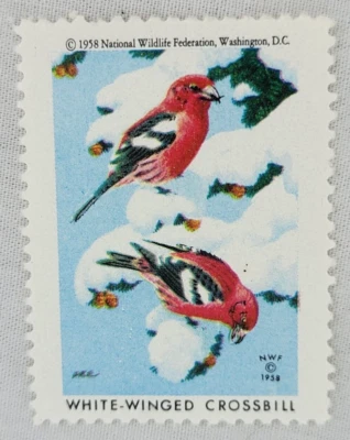 Franqueo de EE. UU. ~ pico cruzado alado blanco/feed nacional de vida silvestre. Póster ~ 1958 ~ 02 Foto 1 de 4