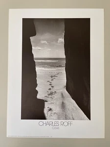 CHARLES ROFF PHOTOGRAPHY, “CAVE, 1977”,RARE AUTHENTIC 1988 POSTER - Picture 1 of 6
