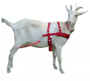 Arnés de extracción de cabras con remolcadores EE. UU. hecho a mano resistente - Imagen 1 de 6