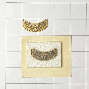 Harley Owners Group HOG Rocker Pins 2003 - Bild 1 von 1