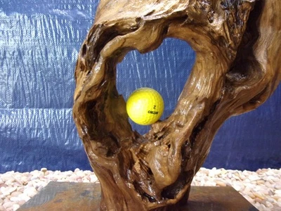 XX-Large Driftwood Mounted on Slate 29"x10"x06" Aquarium Reptile Natural Art - Image 1 of 4