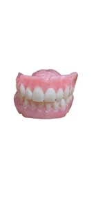Denture Set Upper And Lower False Teeth Brand New - Picture 1 of 5