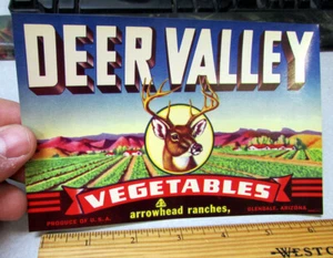 Vintage Original Etikett, 40er Jahre DEER VALLEY Gemüsekiste Etikett, Pfeilspitze Ranch - Bild 1 von 1