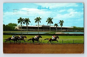 Postcard Florida Miami FL Hialeah Horse Racing 1977 Posted Chrome - Picture 1 of 2