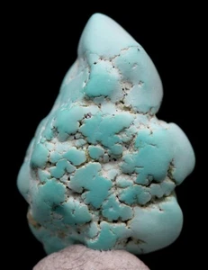 TÜRKIS Exemplar natürlicher echter Edelstein Nugget PAIUTE MINE NEVADA - Bild 1 von 4