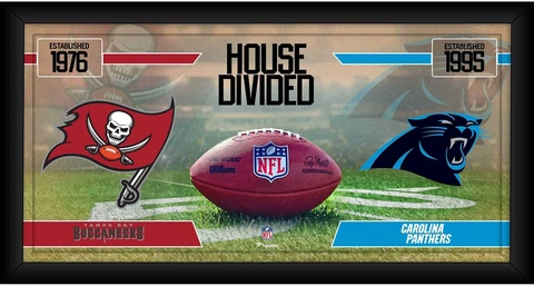 Tampa Bay Buccaneers vs Carolina Panthers Frmd 10" x 20" House Divided Collage Cover