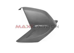 Cover forcellone con tampone carbonio Ducati Panigale V4/Swingarm cover with pad - Imagen 1 de 3