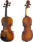 Cecilio Violin For Kids & Adults - Beginners Violins Kit - Natural Varnish--