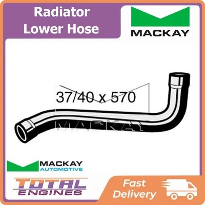 Radiator Lower Hose fits BMW 7 Series E32 3.4L 6Cyl M30 B35 ME7 - image 1 of 2