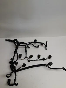 Genuine Renault Kadjar(15-19) 1.5 dci Fuel Injectors Wiring Looms Cables - Picture 1 of 16