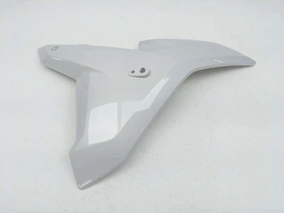 Carenado delantero derecho BMW R1200RS 17 panel cubierta plástico 40924097090R Foto 1 de 4