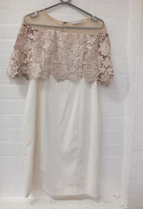 Gina Bacconi Cream & Gold Lace Overlay Shift Dress Size 12 (Had) - Picture 1 of 8